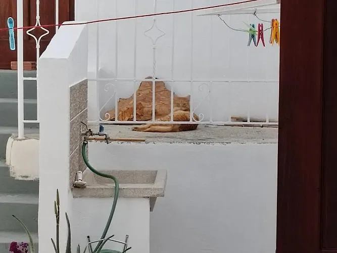 Alley דירה